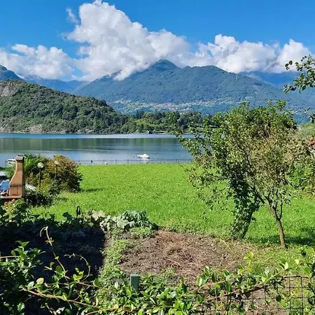 Casa Favorita * كوليكو